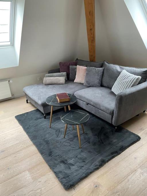 Gemuetliche & Zentrale Wohnung In Der Stadt Zuerich Exterior foto
